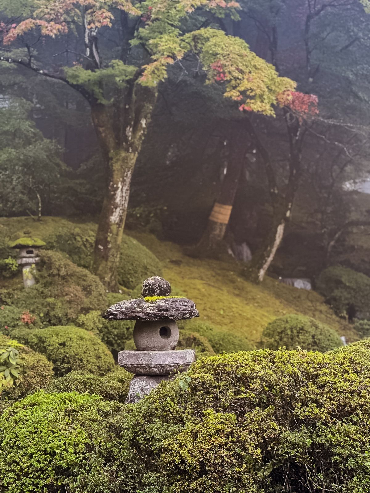 Giappone in movimento