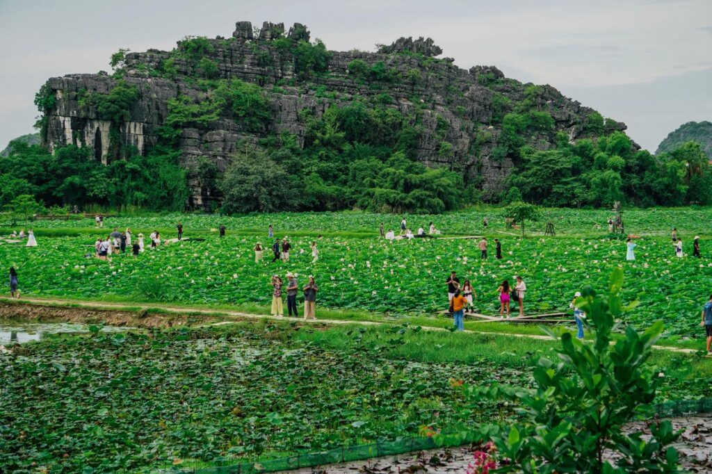Vietnam